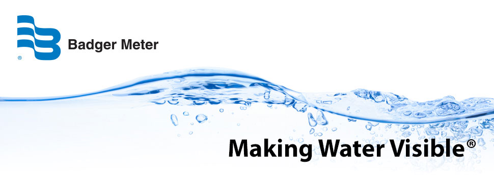 Metering- Badger Meter
